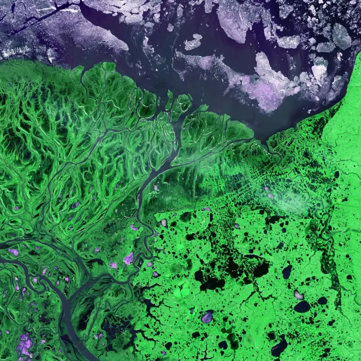 Photo by USGS on Unsplash