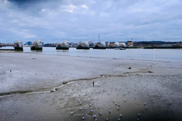 Photo by Rose Galloway Green on Unsplash