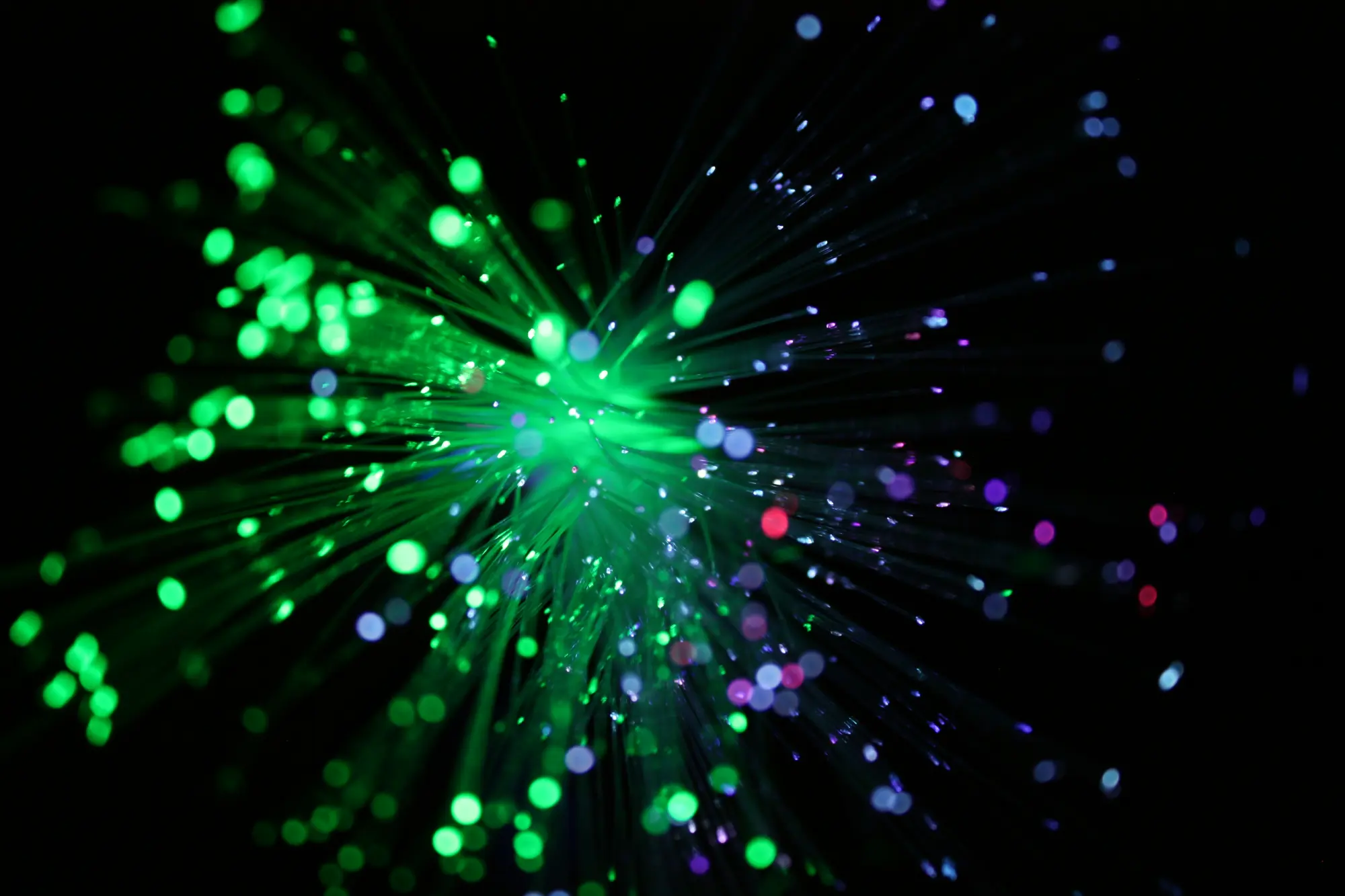 Photo by Latte on Unsplash